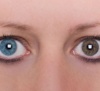 Die Augenfarben von Menschen sind genetisch bedingt. Doch wie ist es eigentlich möglich, dass gewisse Personen über zwei verschiedene Augenfarben verfügen?