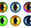 Lentilles de contact colorees - Dynoptic est le label de qualité des opticiens suisses. Nos partenaires se réjouissent de votre visite. Obtenir des conseils!